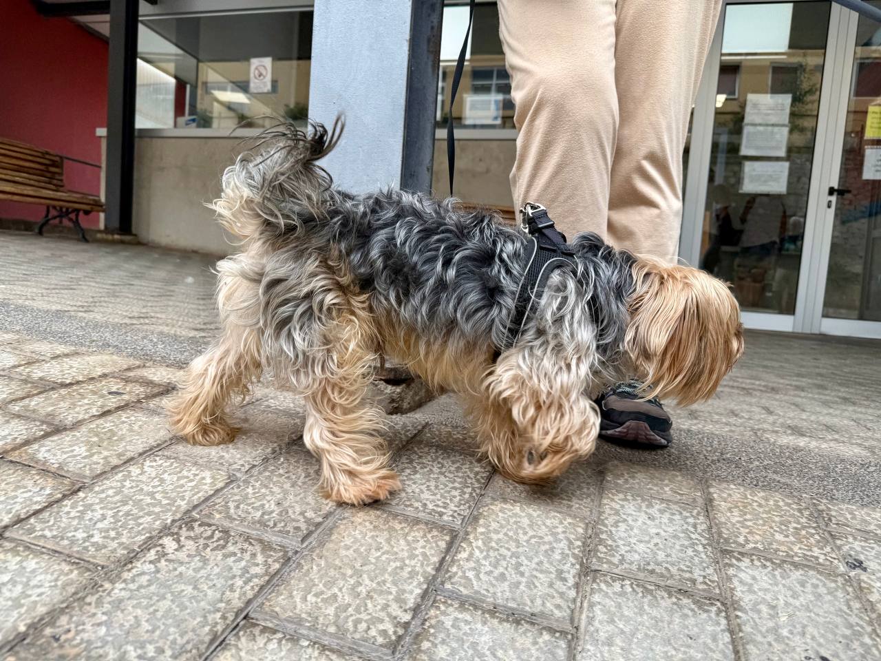 photo_2025-09-19 13.04.11