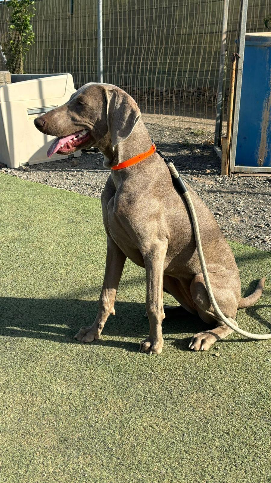 WhatsApp Image 2026-02-06 at 19.22.07 (1)