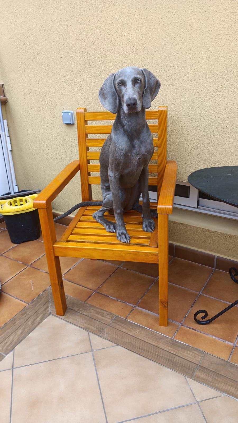 WhatsApp Image 2026-02-06 at 19.22.07