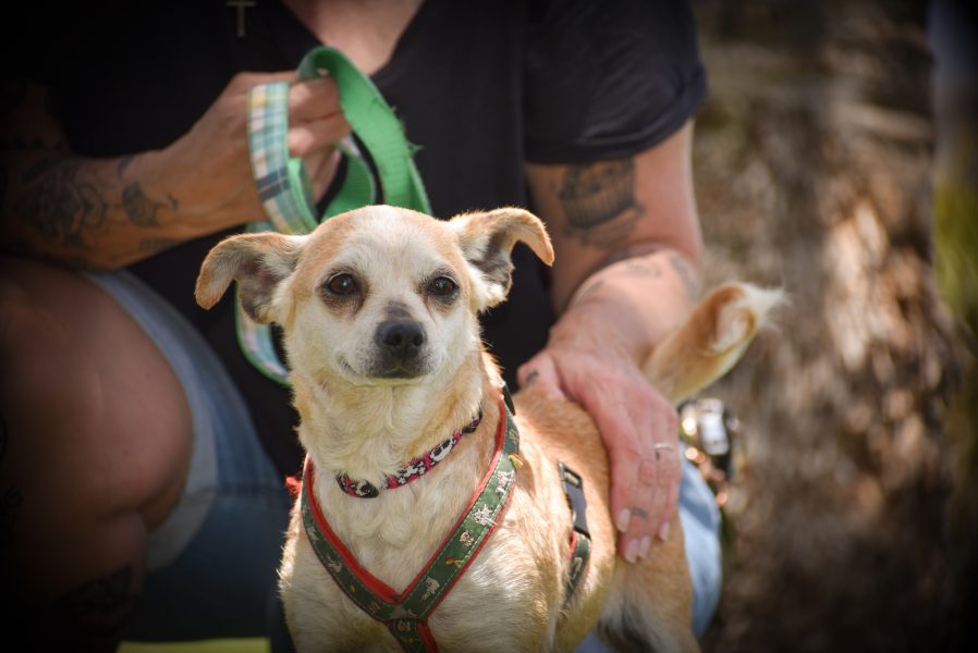 DSC_5183